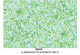 Chateau Garden Placemats Image 2 of 2